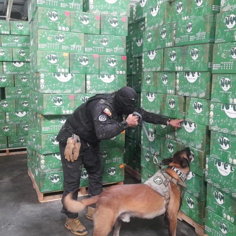 Inspección de cajas de banano