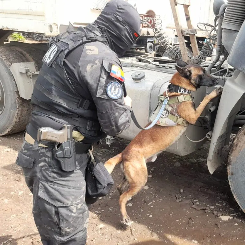 Guía K9 y su perro revisando la cabina de un tráiler
